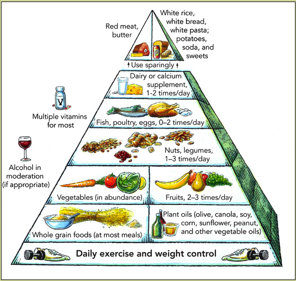 food pyramid from Harvard University